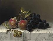 Prunes and grapes on a damast tablecloth